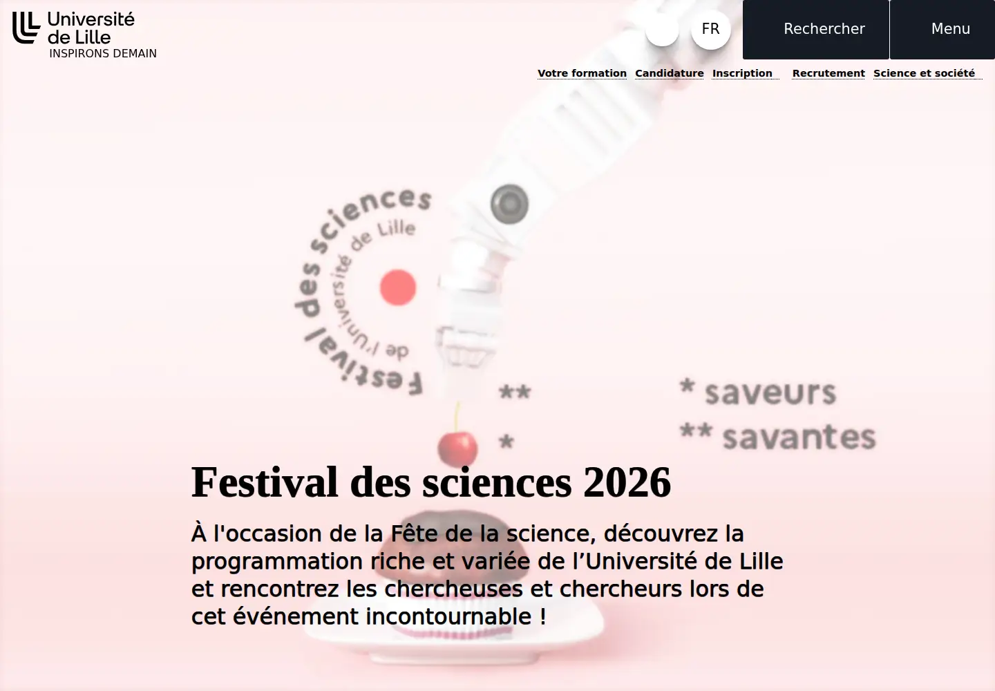 Screenshot of univ-lille.fr
