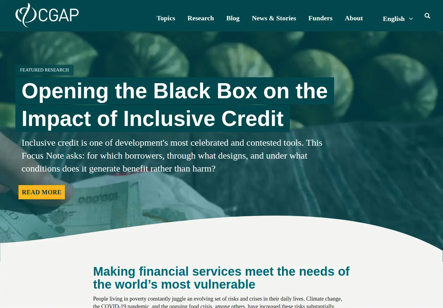 Screenshot of cgap.org