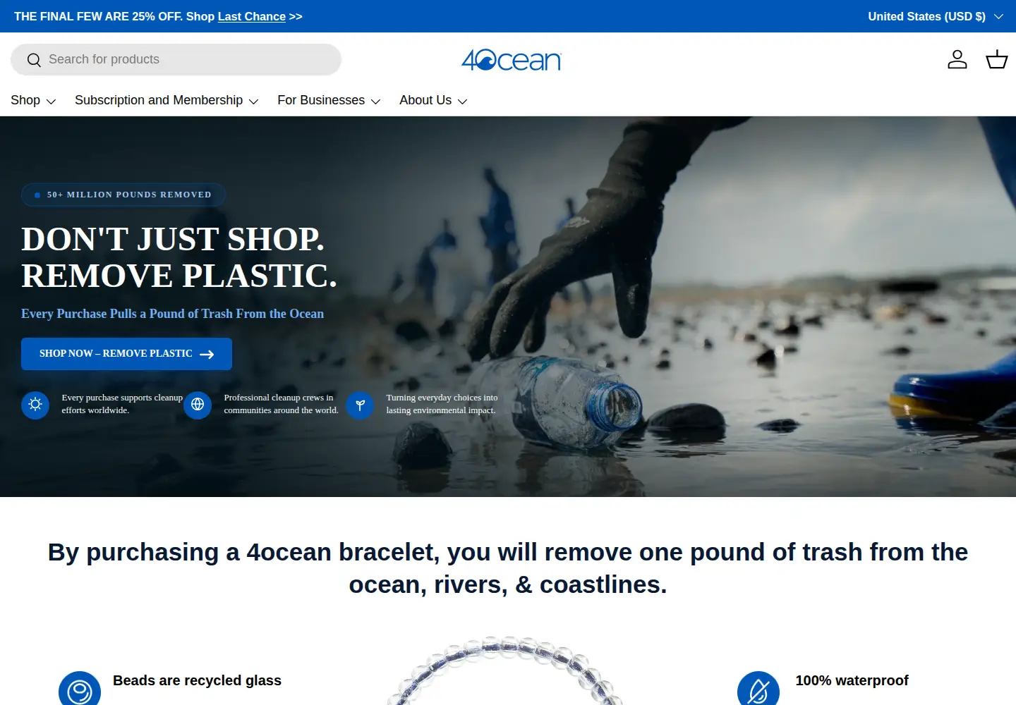 Screenshot of 4ocean.com