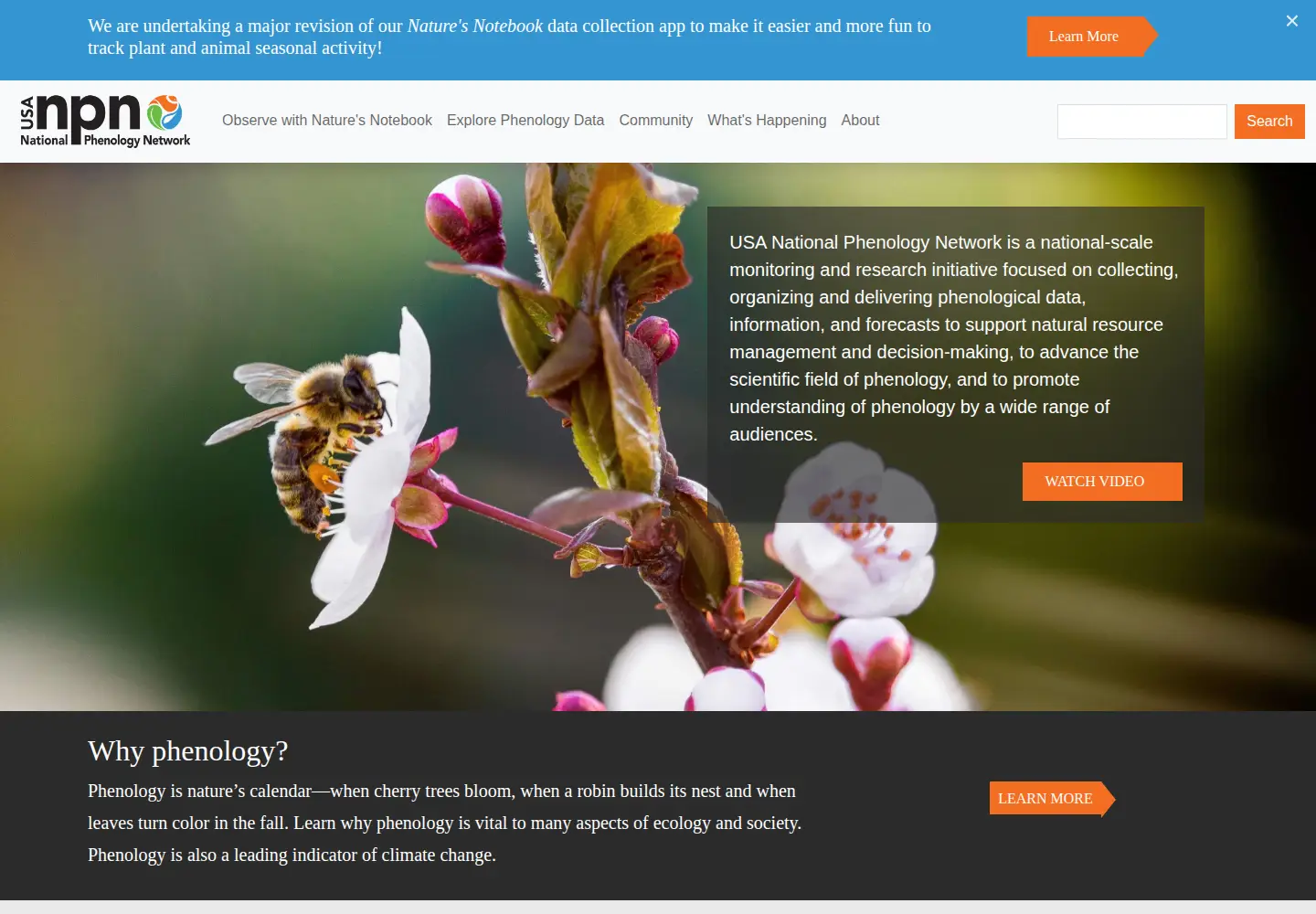 Screenshot of usanpn.org