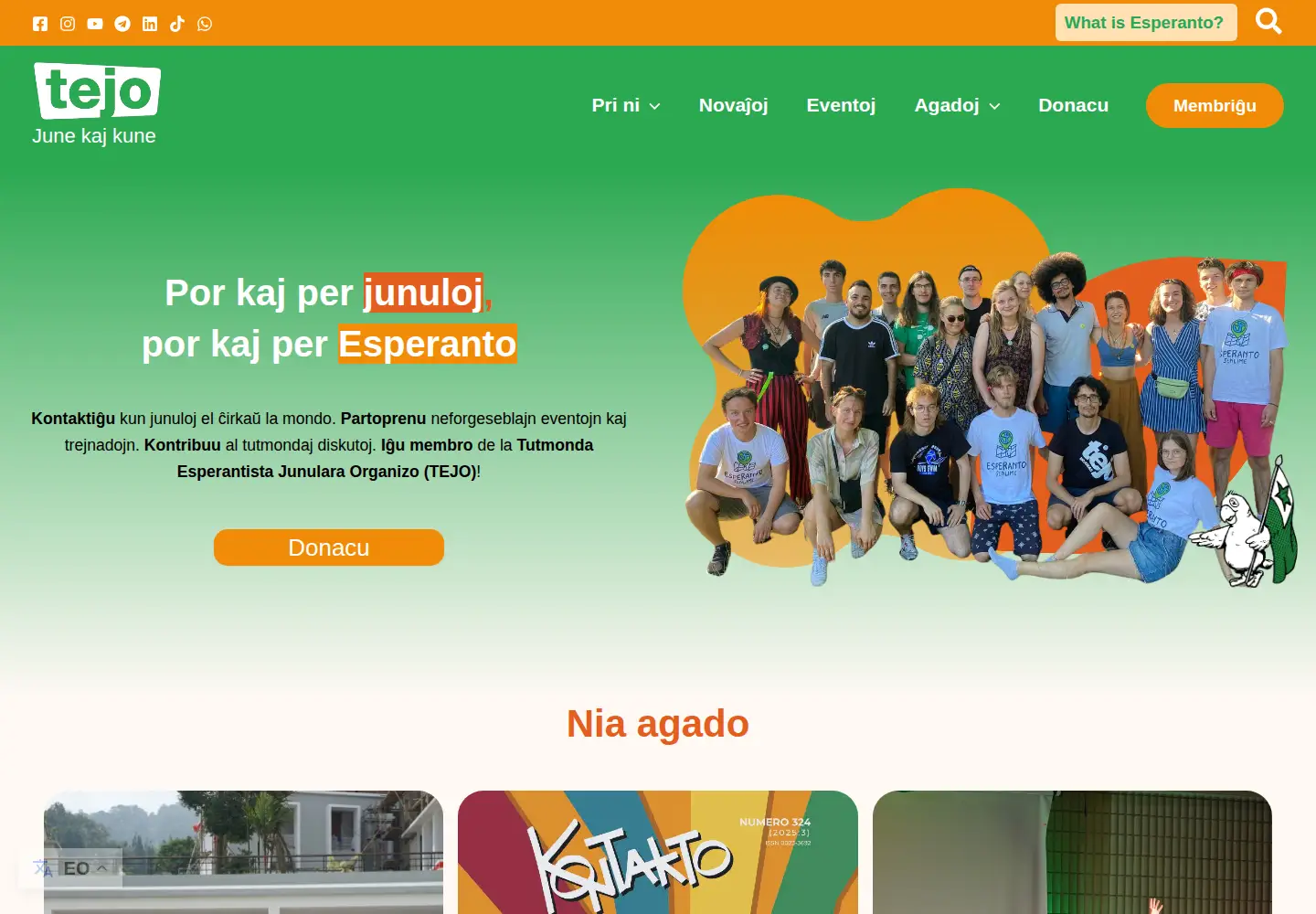Screenshot of tejo.org