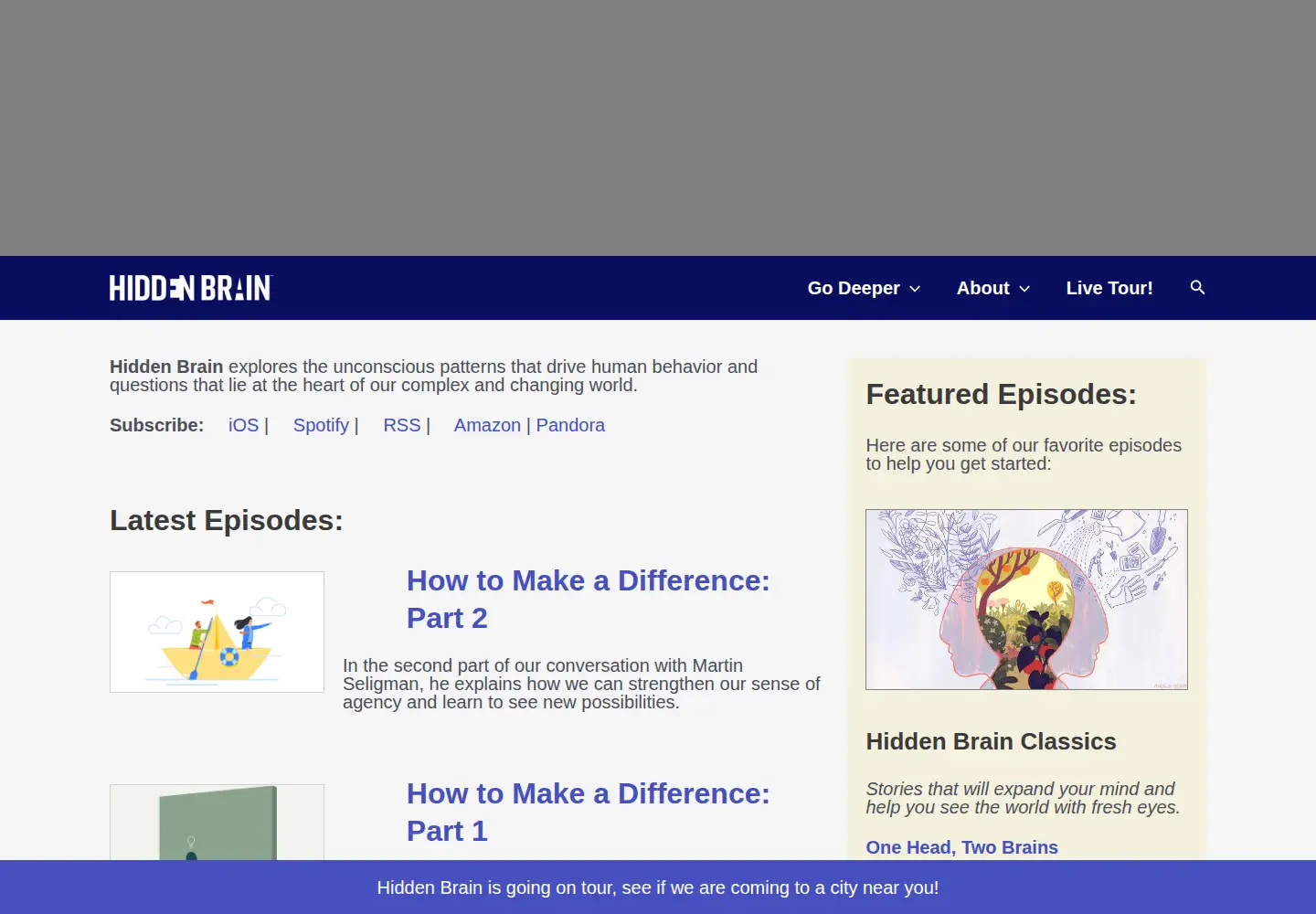 Screenshot of hiddenbrain.org