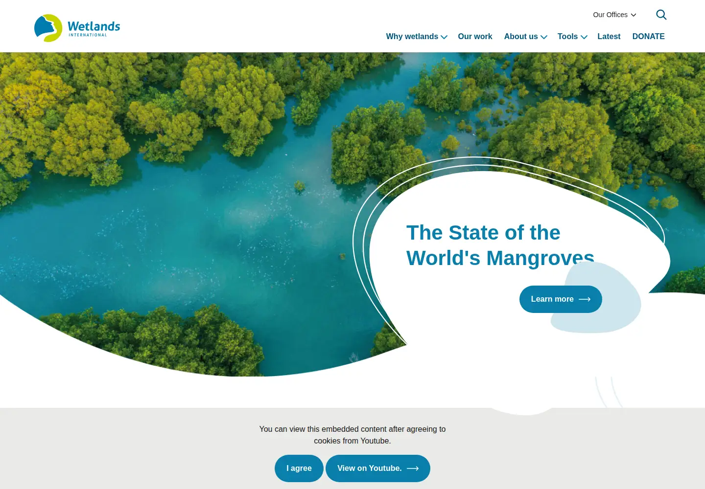 Screenshot of wetlands.org