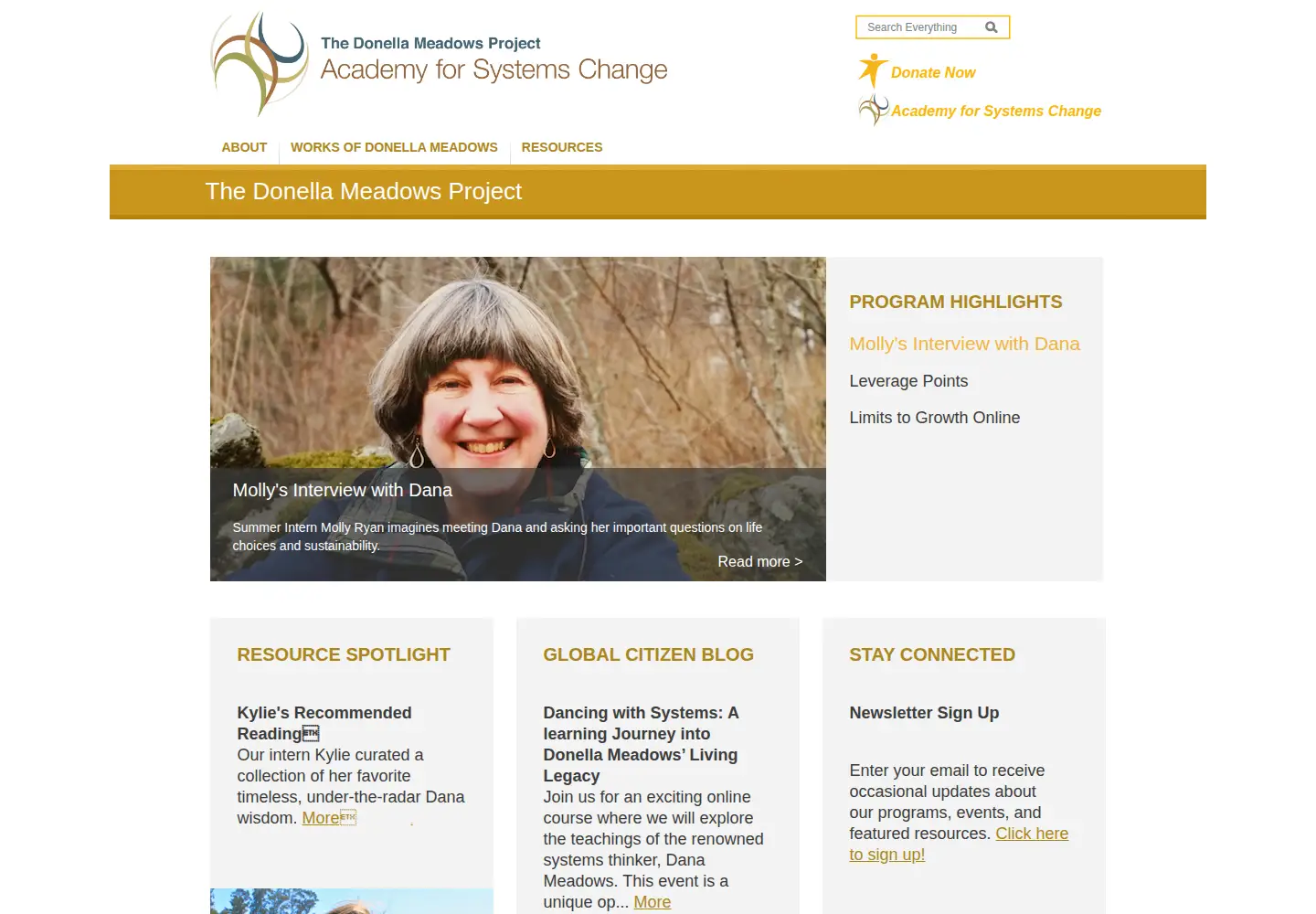 Screenshot of donellameadows.org
