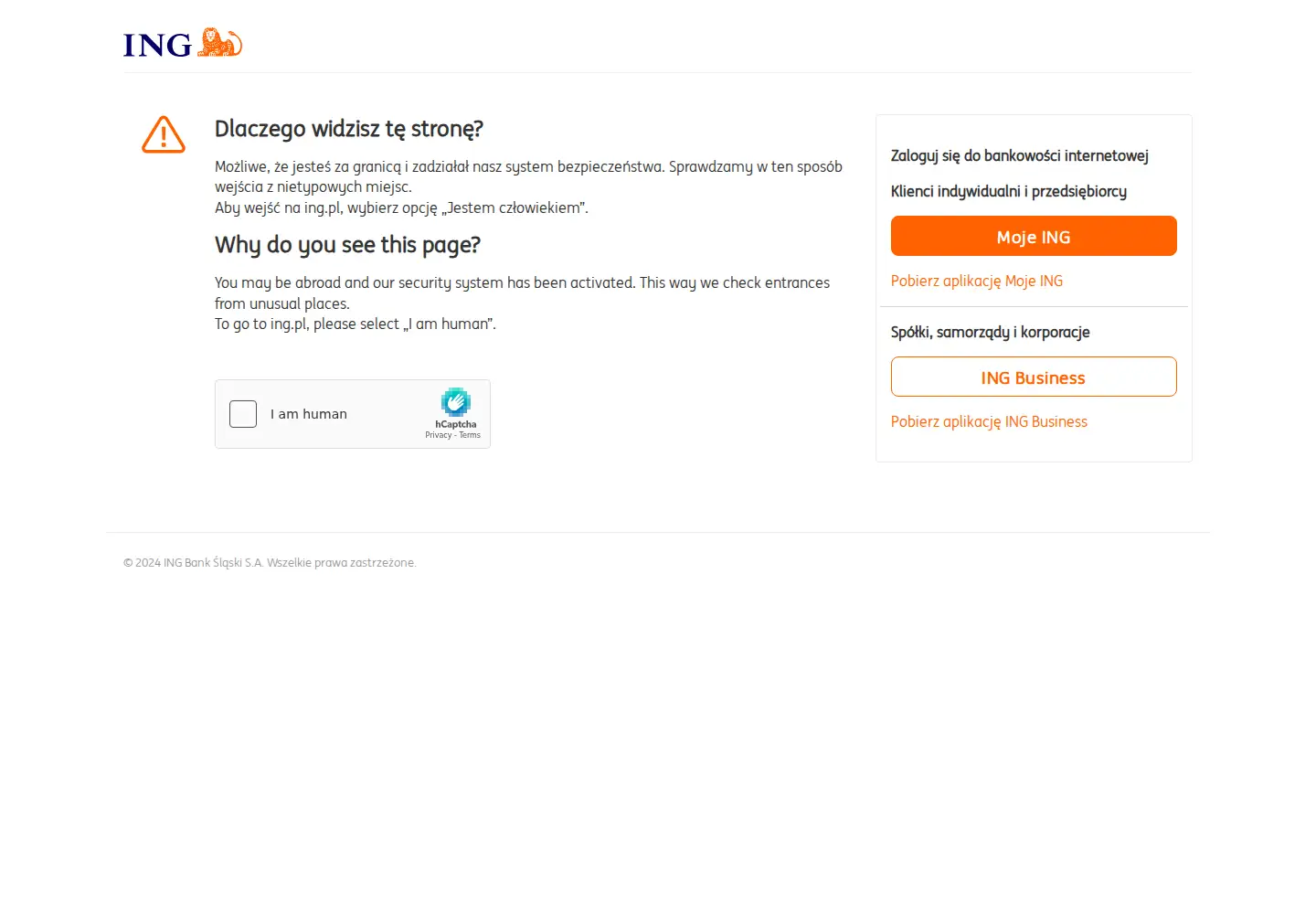 Screenshot of ing.pl