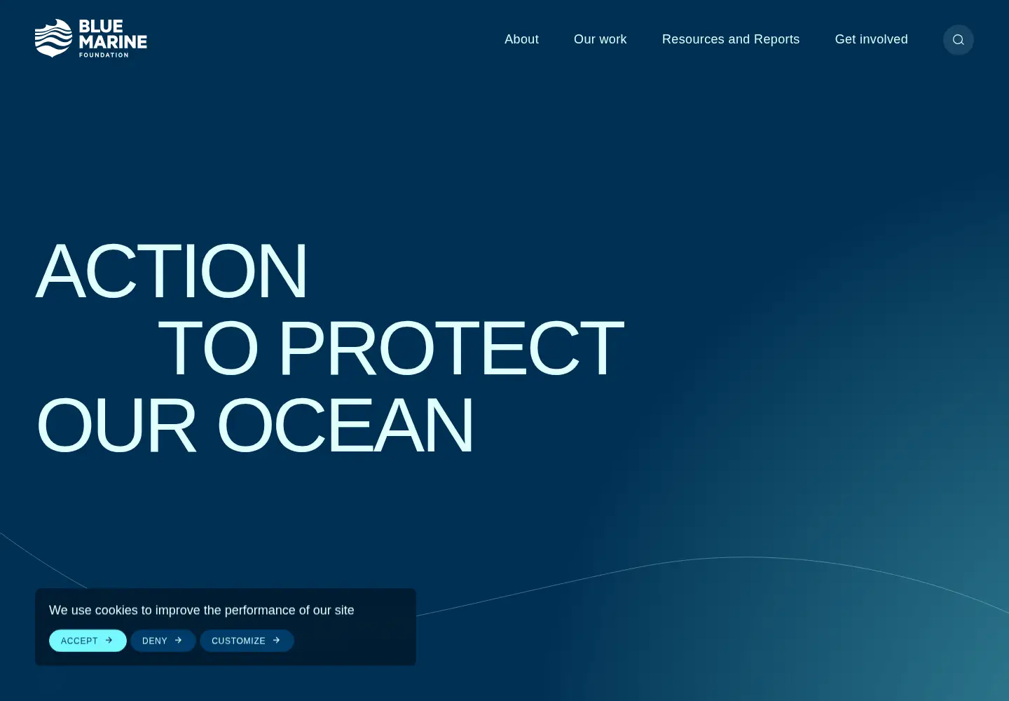 Screenshot of bluemarinefoundation.com