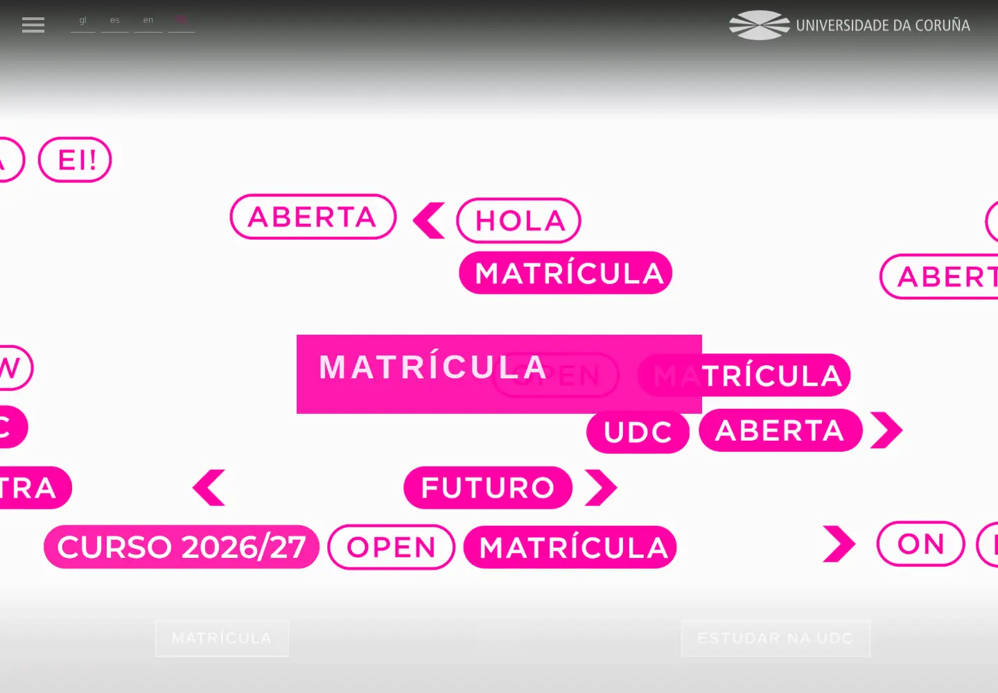 Screenshot of udc.es