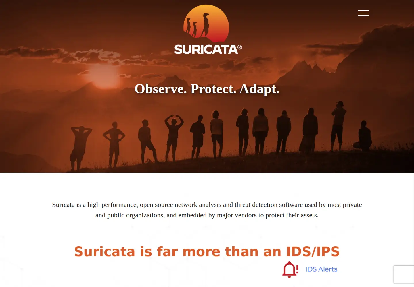 Screenshot of suricata.io