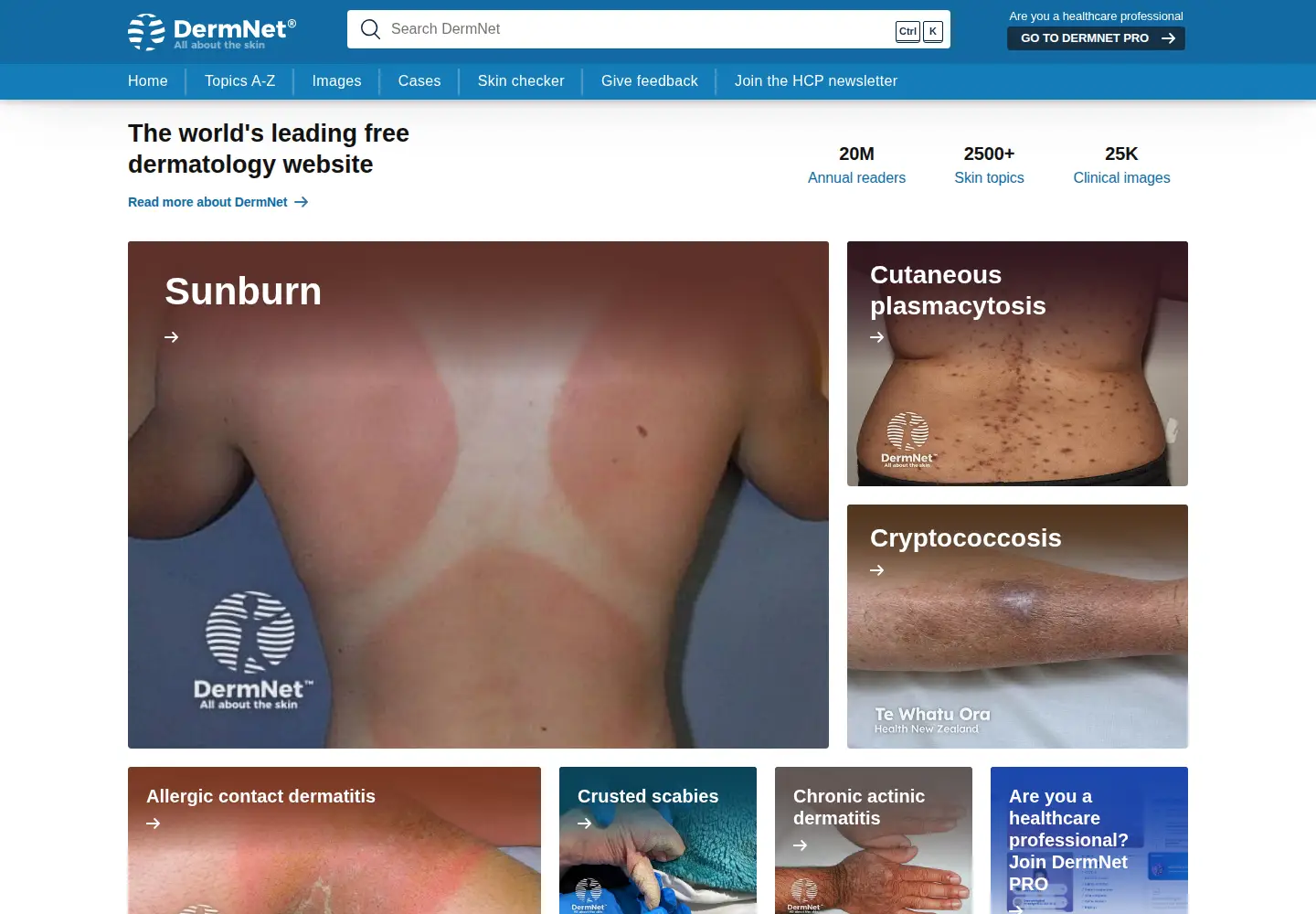 Screenshot of dermnetnz.org