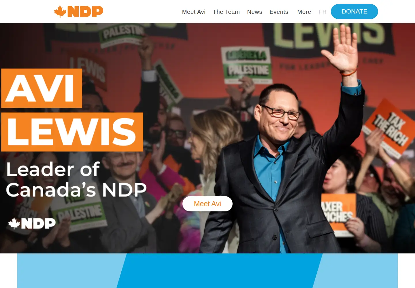 Screenshot of ndp.ca