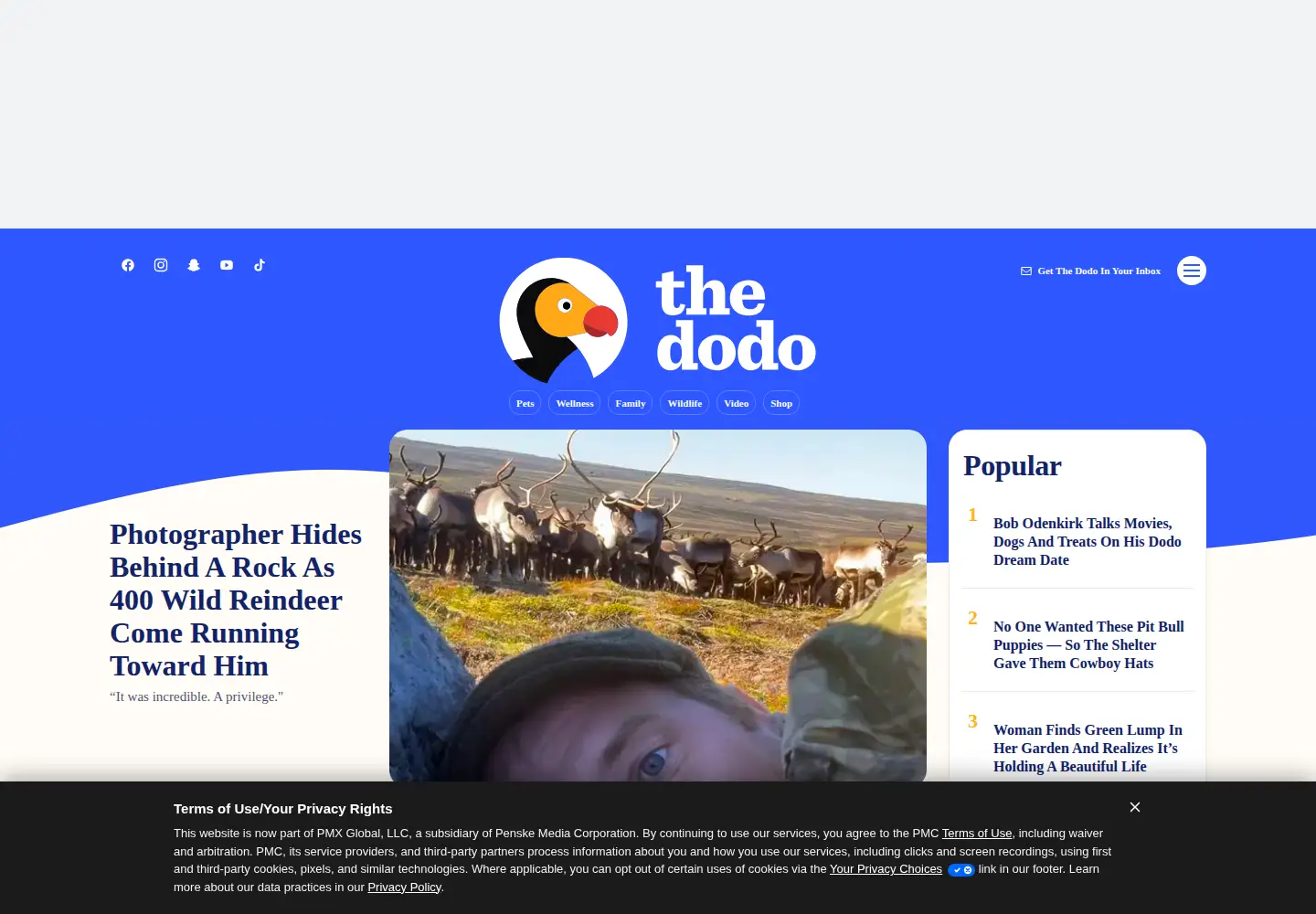 Screenshot of thedodo.com