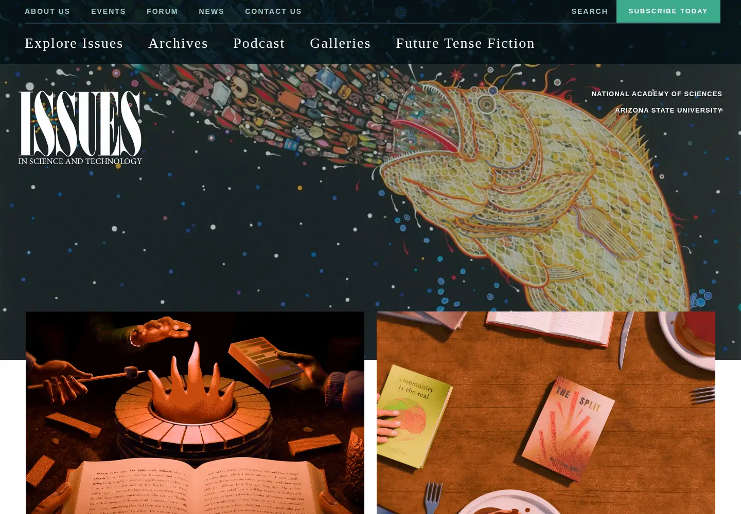 Screenshot of issues.org