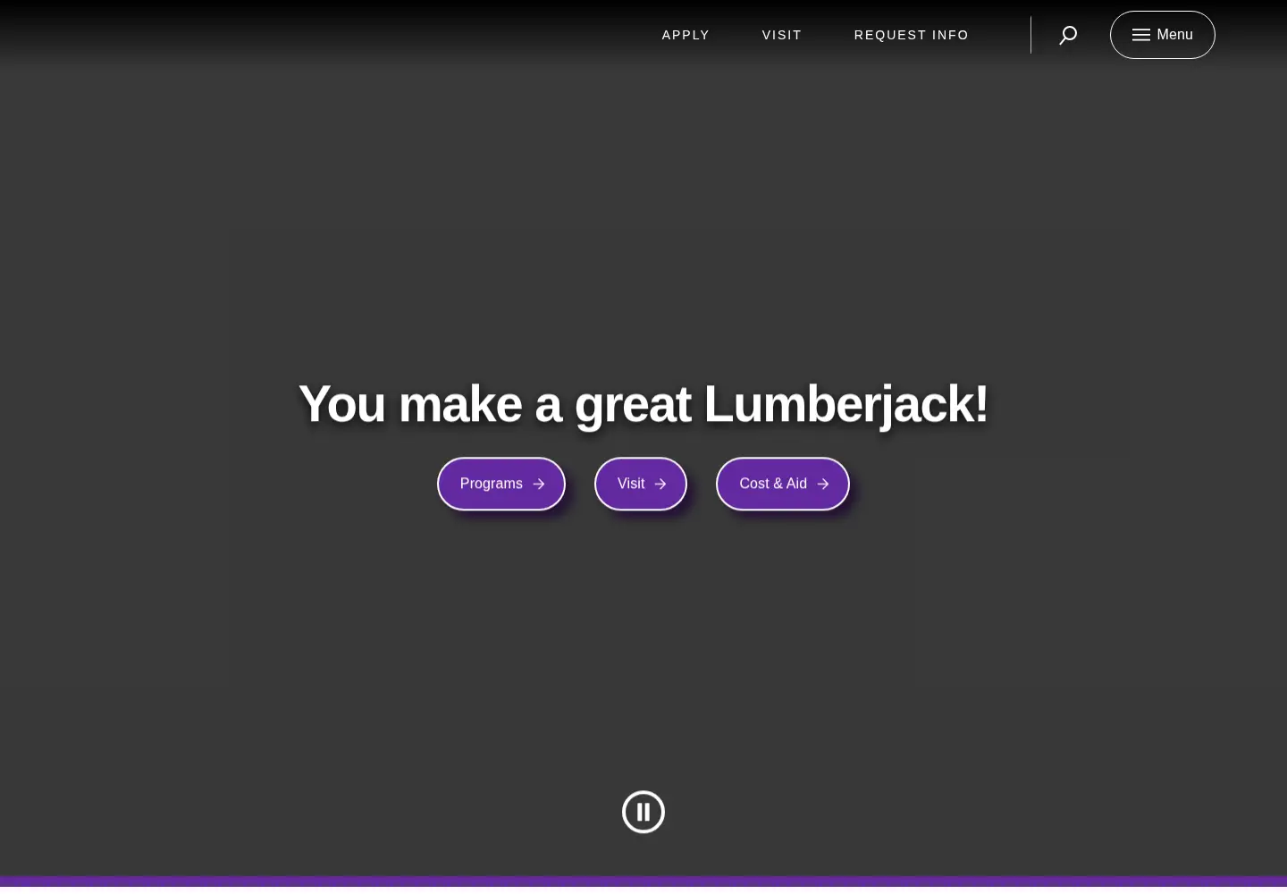 Screenshot of sfasu.edu
