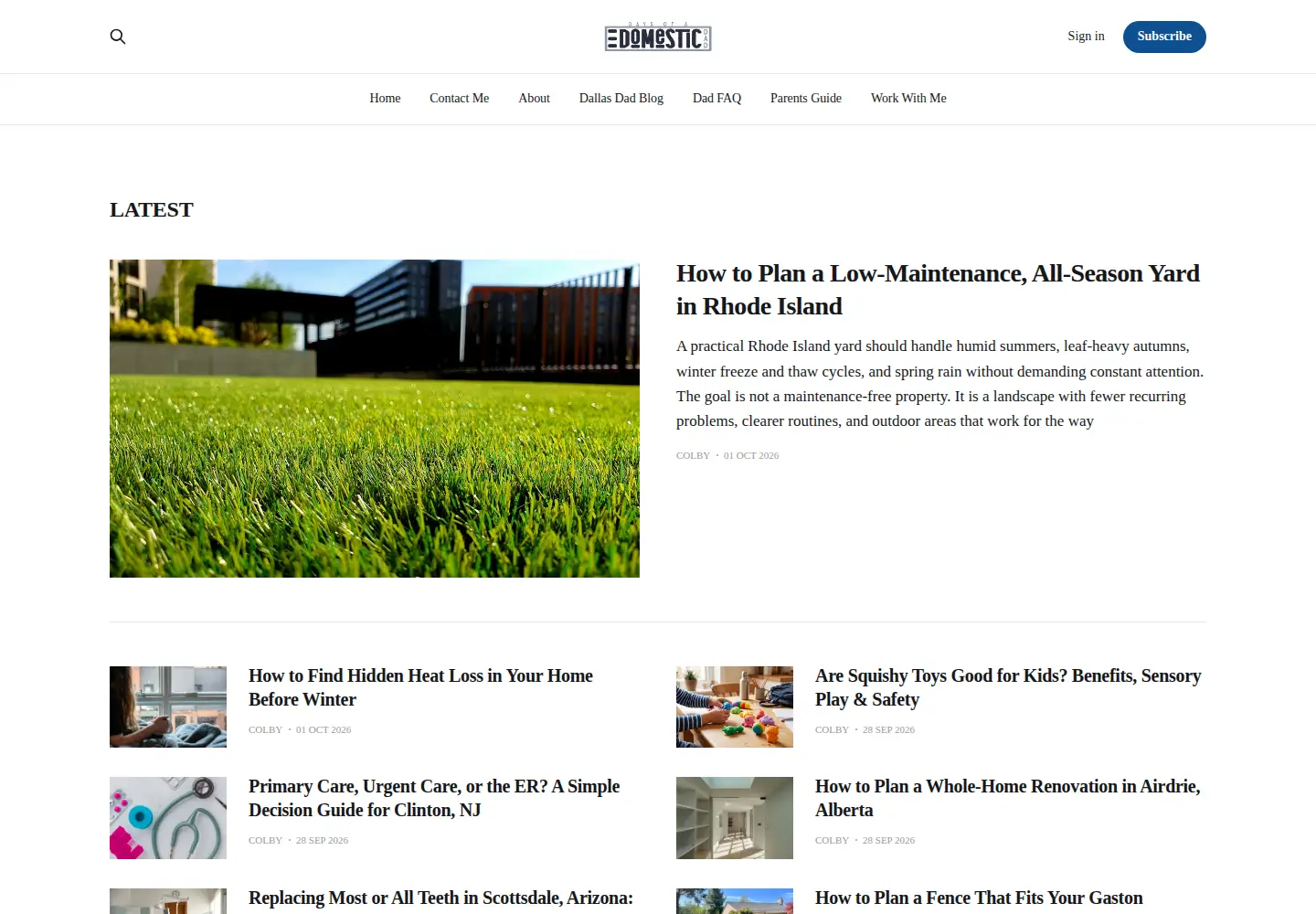 Screenshot of daysofadomesticdad.com