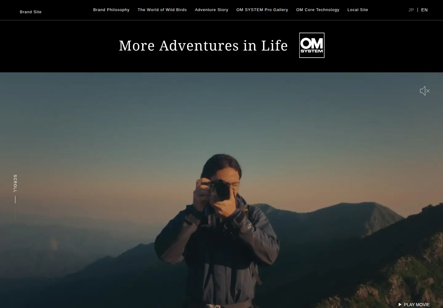 Screenshot of omsystem.com