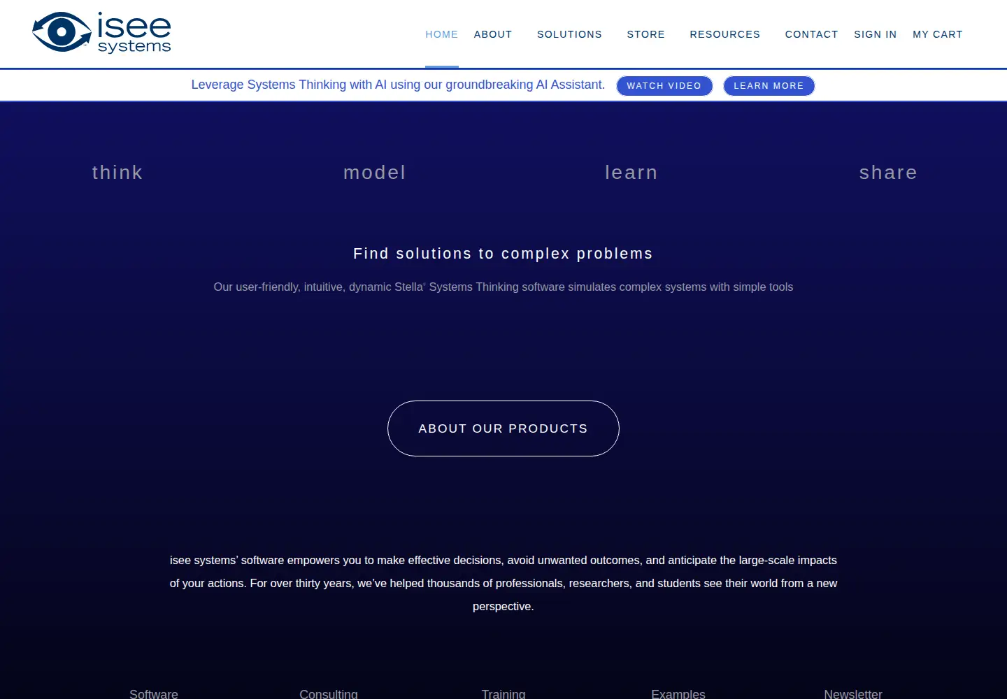 Screenshot of iseesystems.com