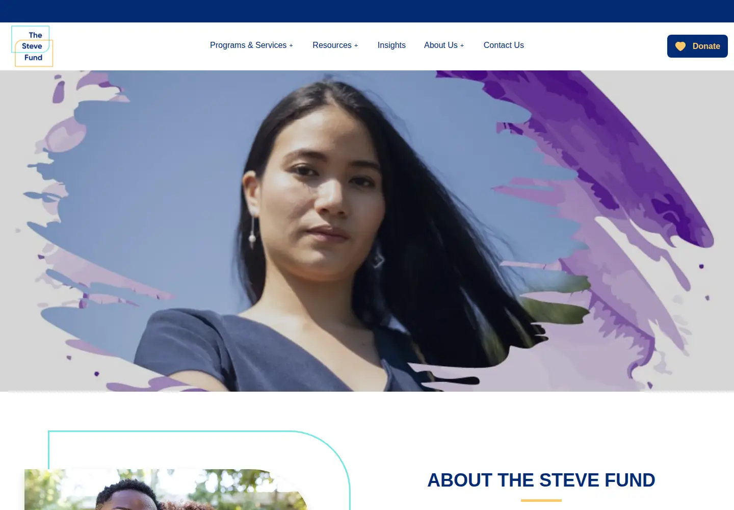 Screenshot of stevefund.org
