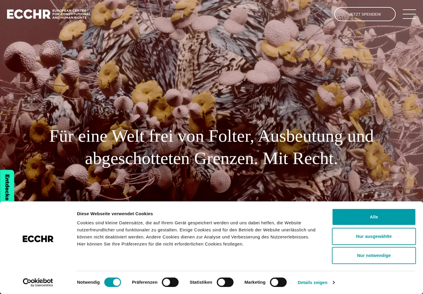 Screenshot of ecchr.eu