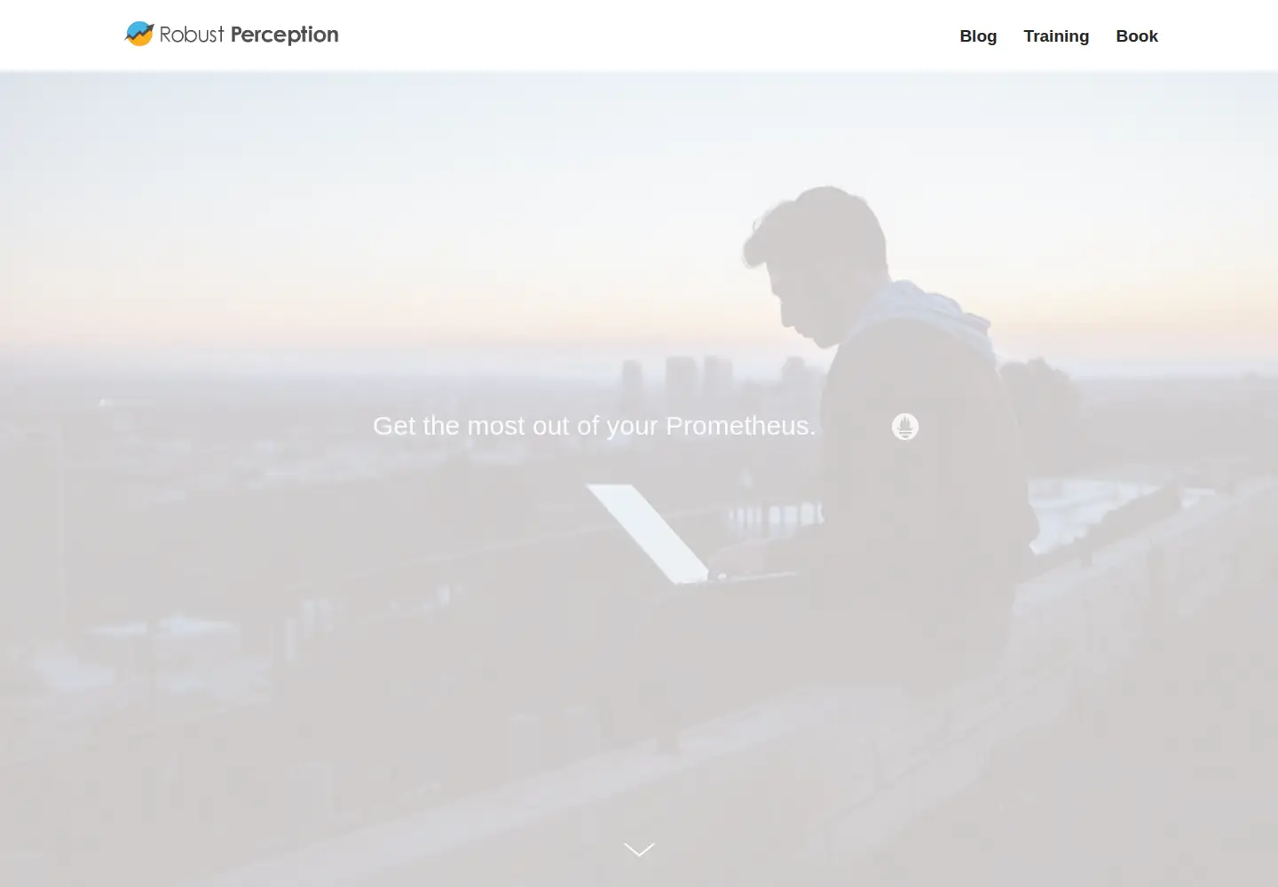 Screenshot of robustperception.io