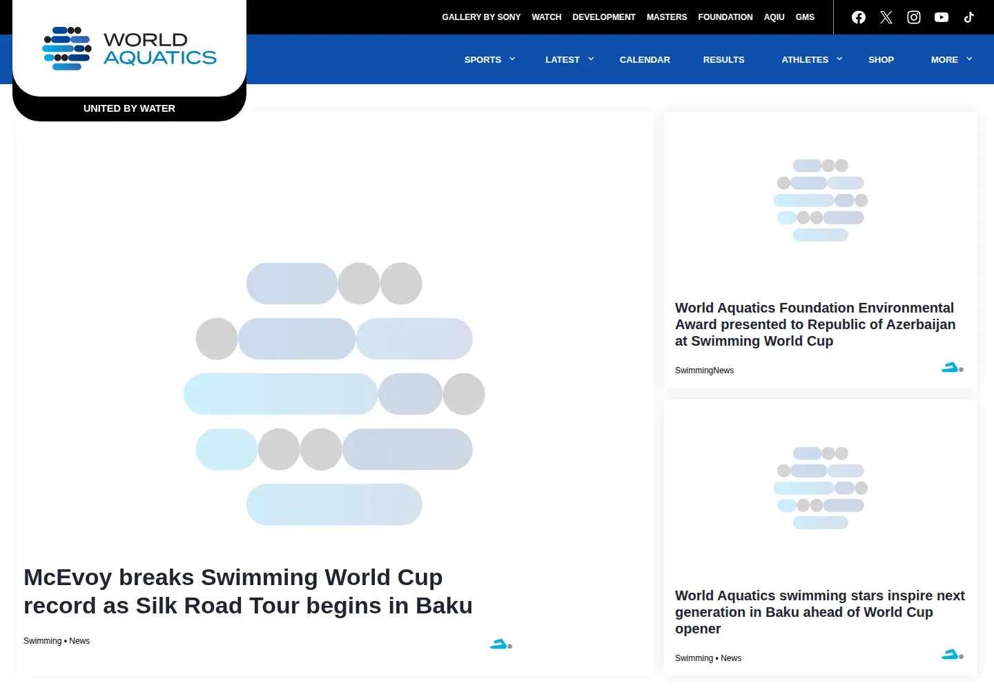 Screenshot of fina.org
