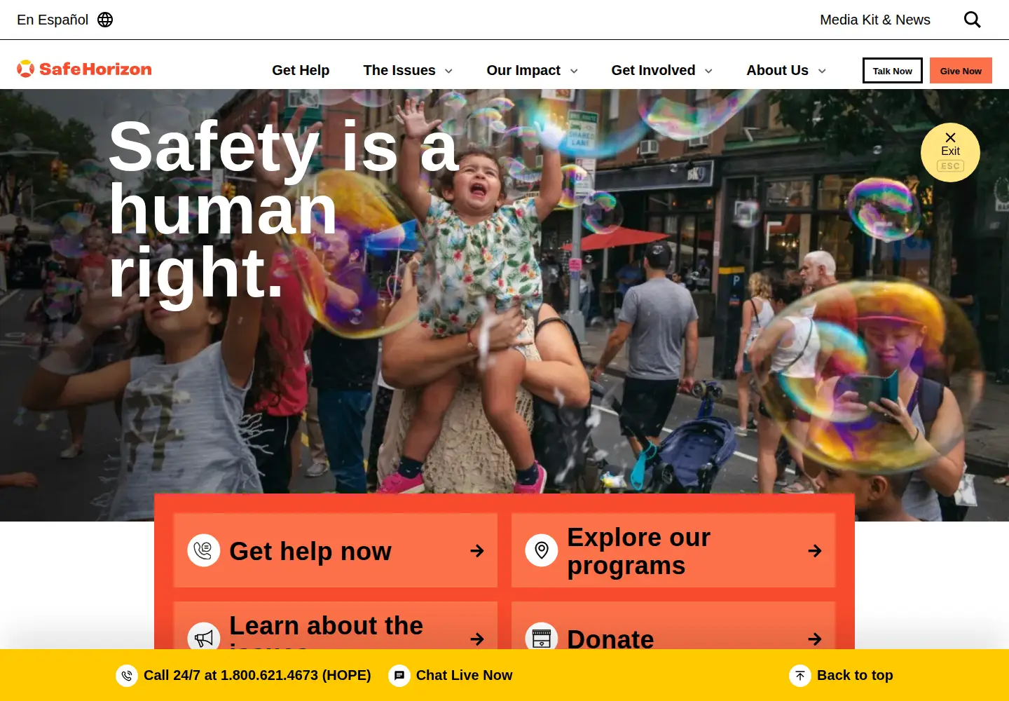 Screenshot of safehorizon.org