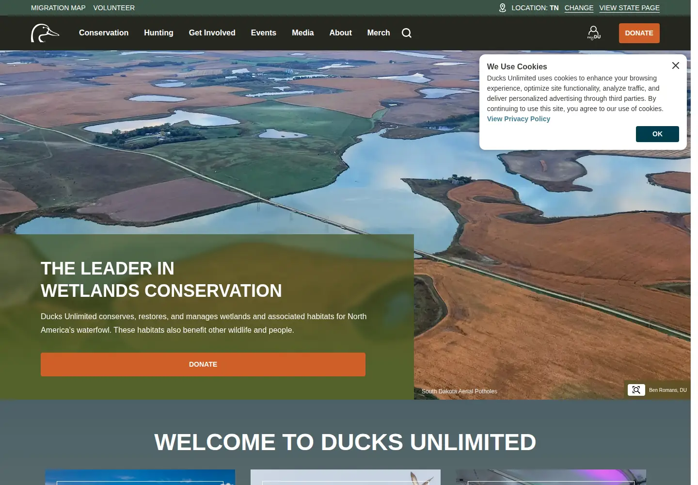 Screenshot of ducks.org