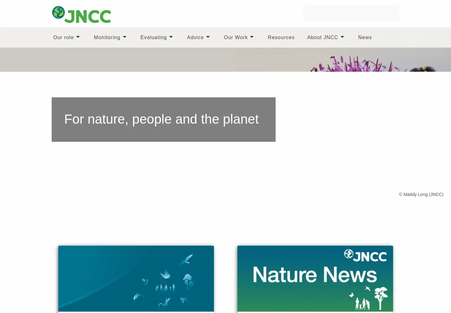 Screenshot of jncc.gov.uk