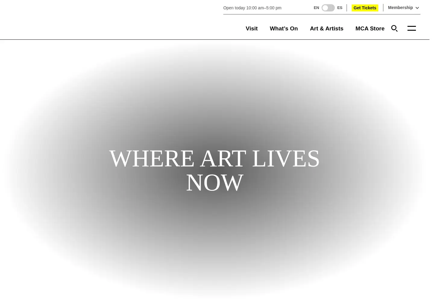 Screenshot of mcachicago.org