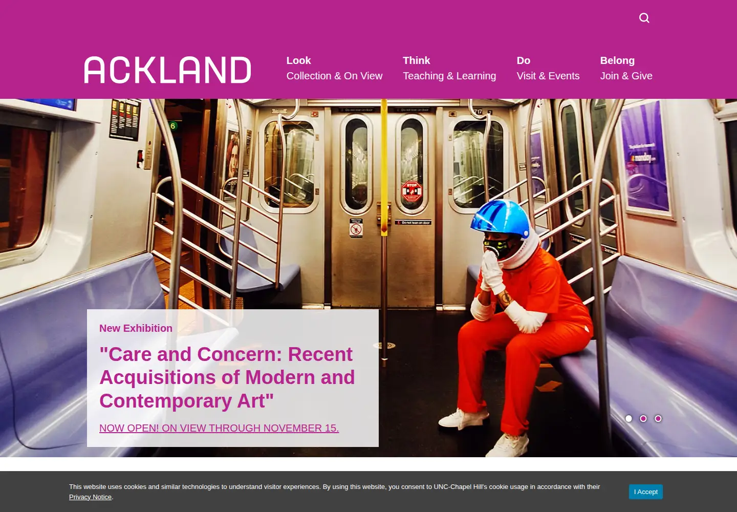Screenshot of ackland.org