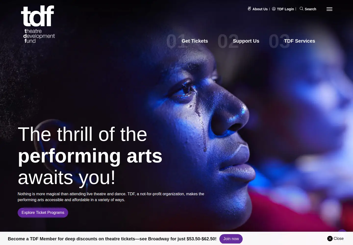 Screenshot of tdf.org