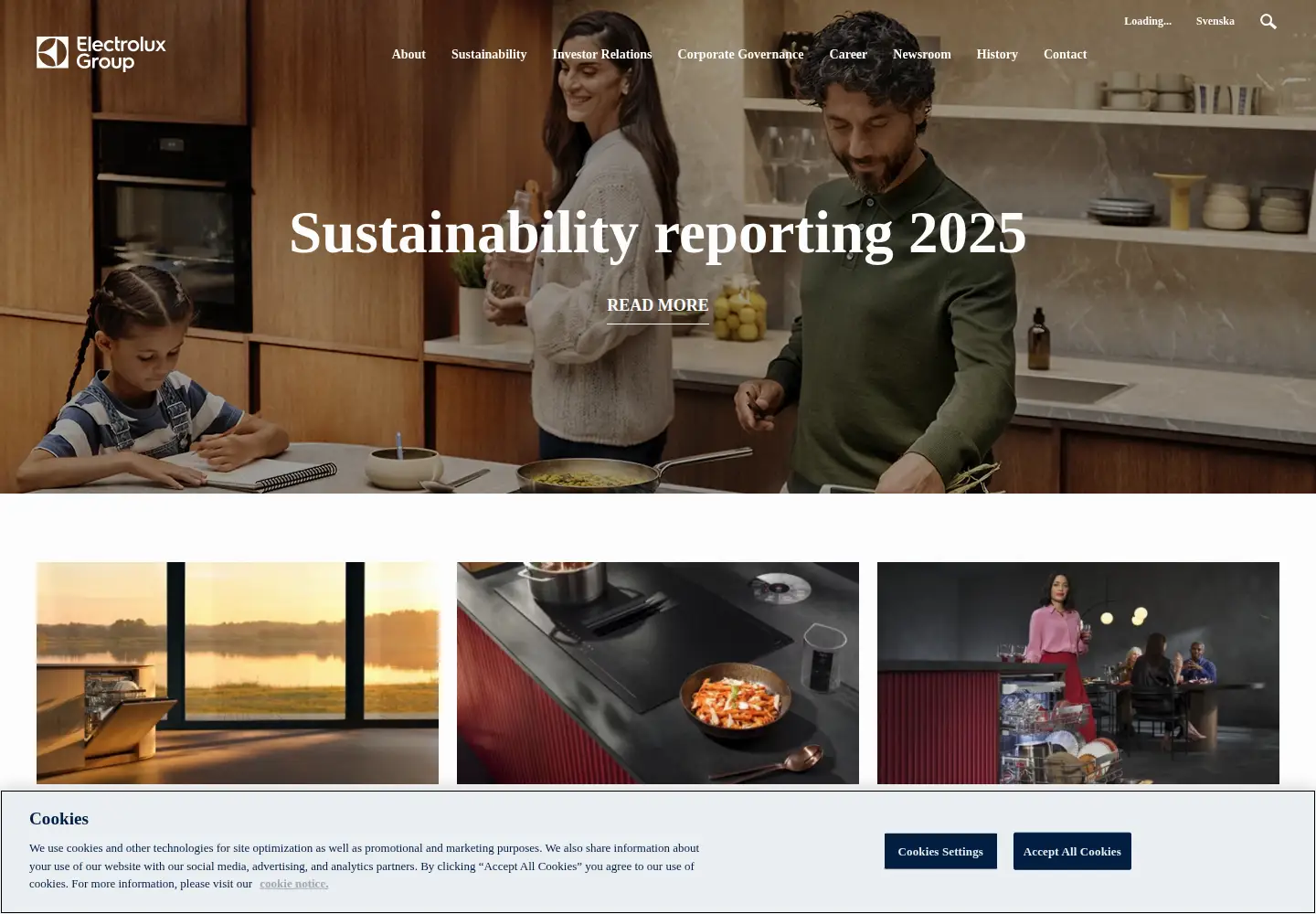 Screenshot of electroluxgroup.com