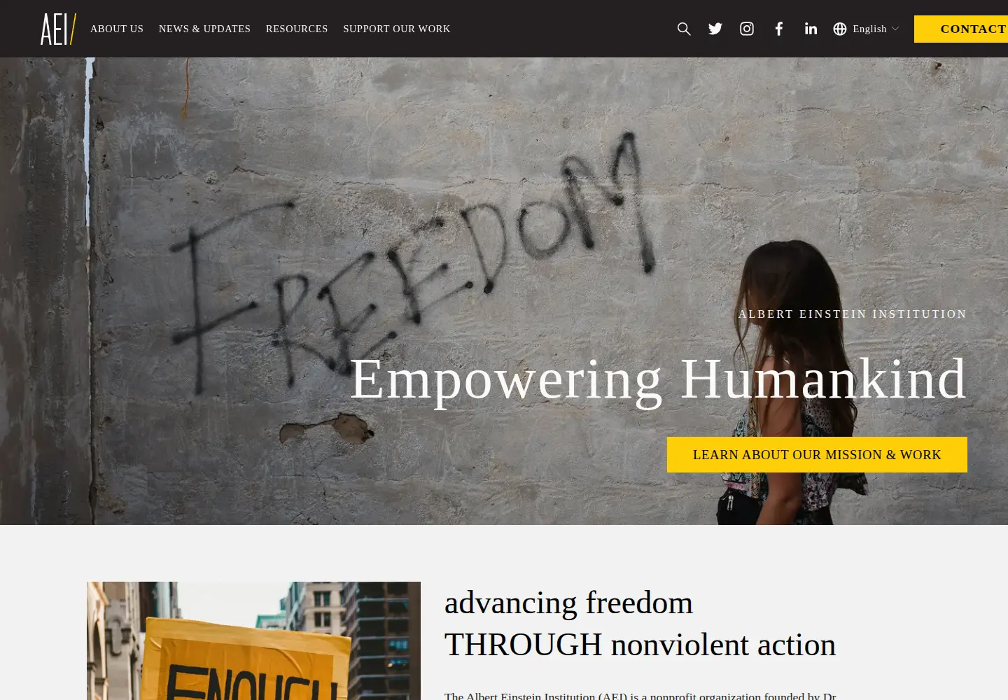 Screenshot of aeinstein.org