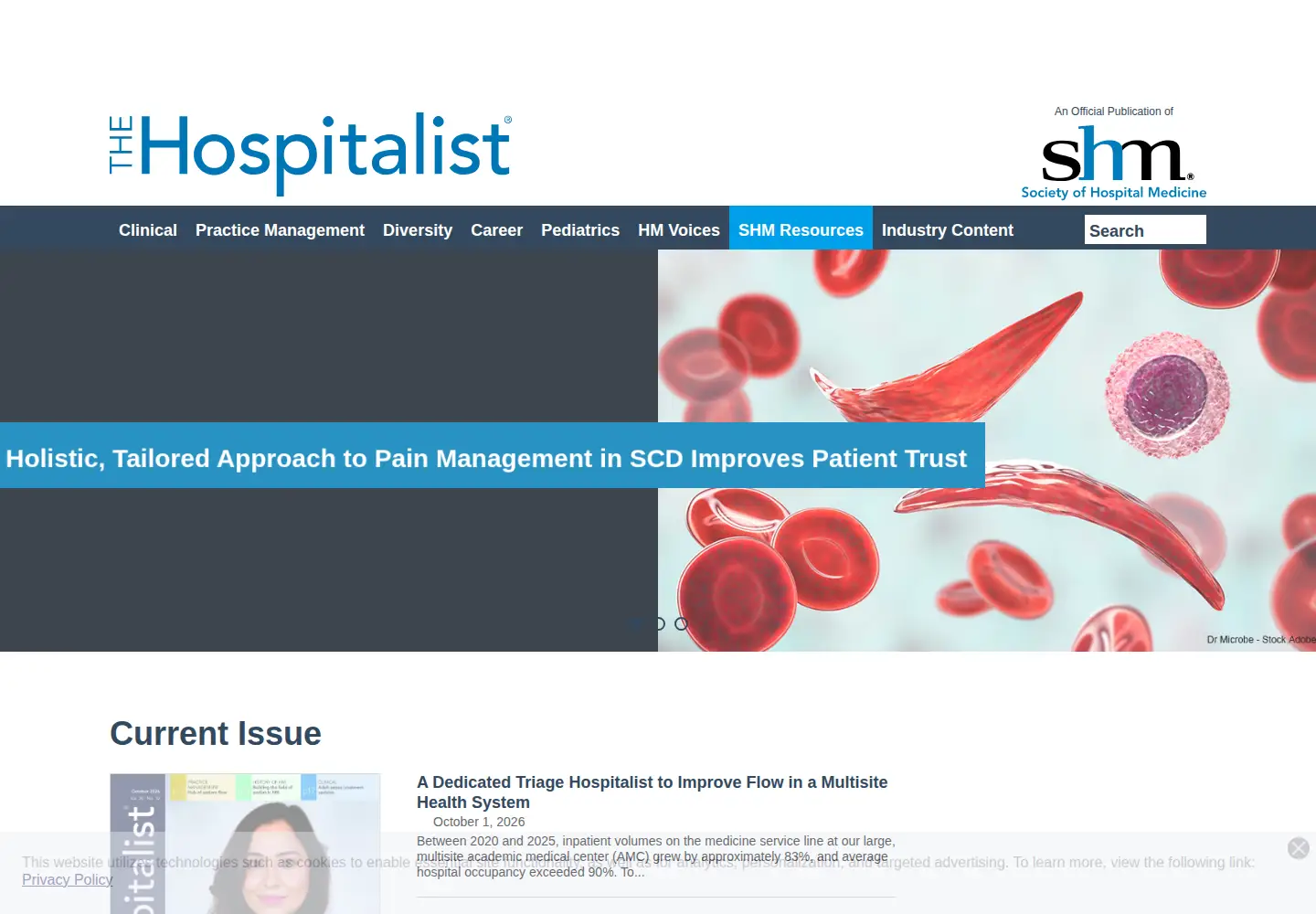 Screenshot of the-hospitalist.org