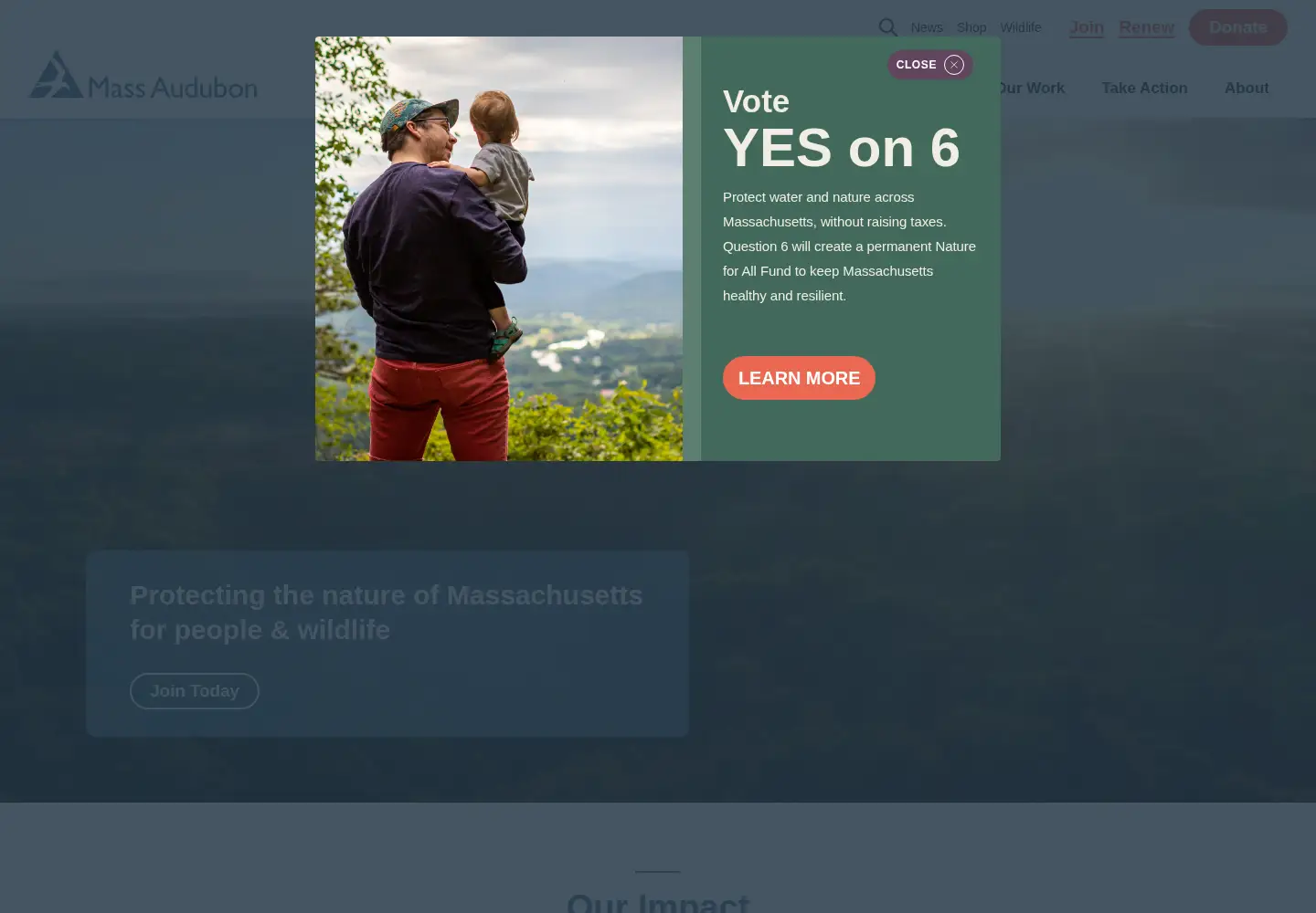 Screenshot of massaudubon.org