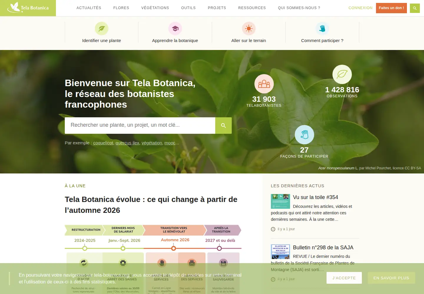 Screenshot of tela-botanica.org