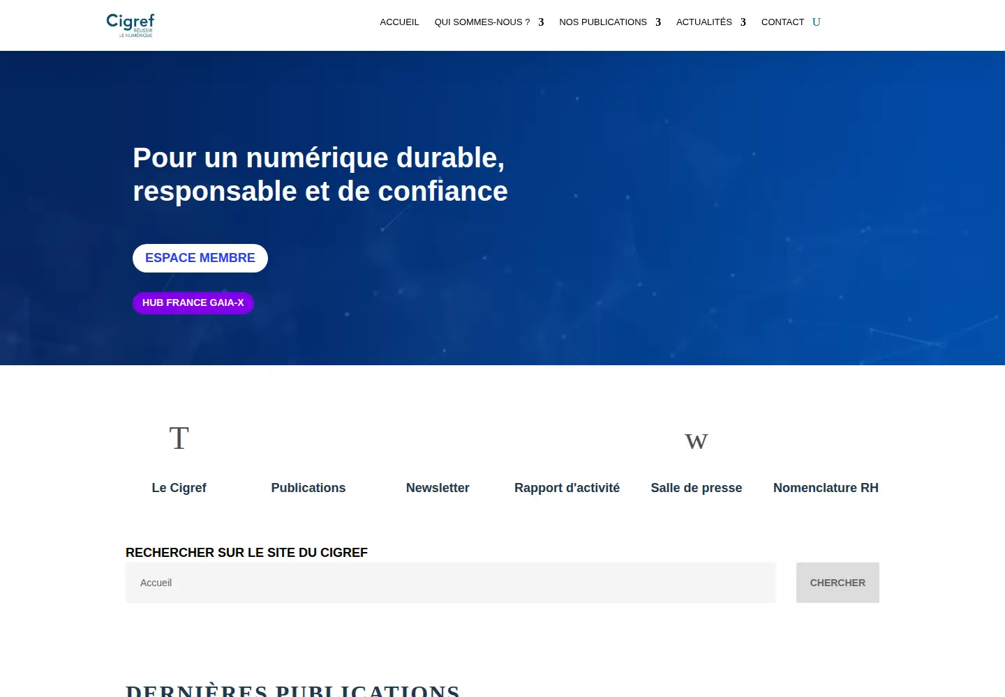 Screenshot of cigref.fr