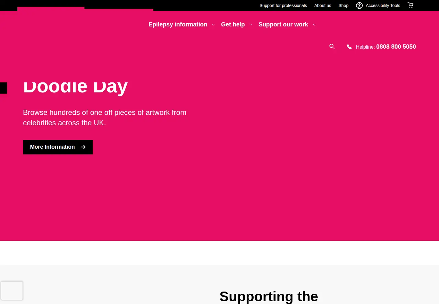 Screenshot of epilepsy.org.uk