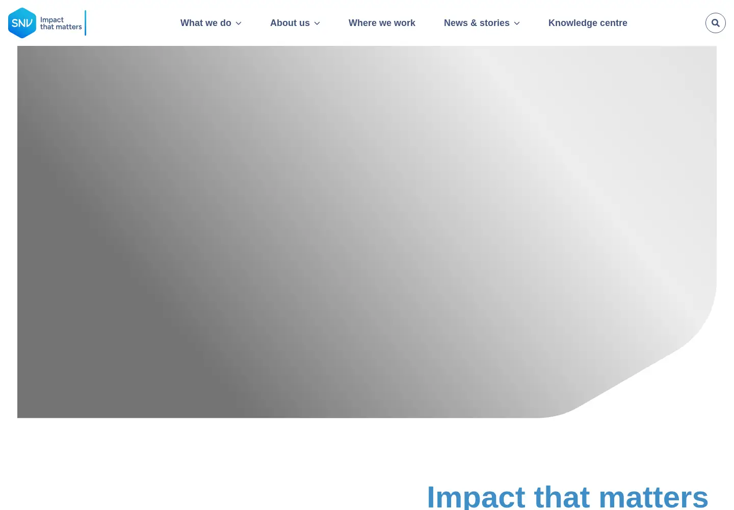 Screenshot of snv.org
