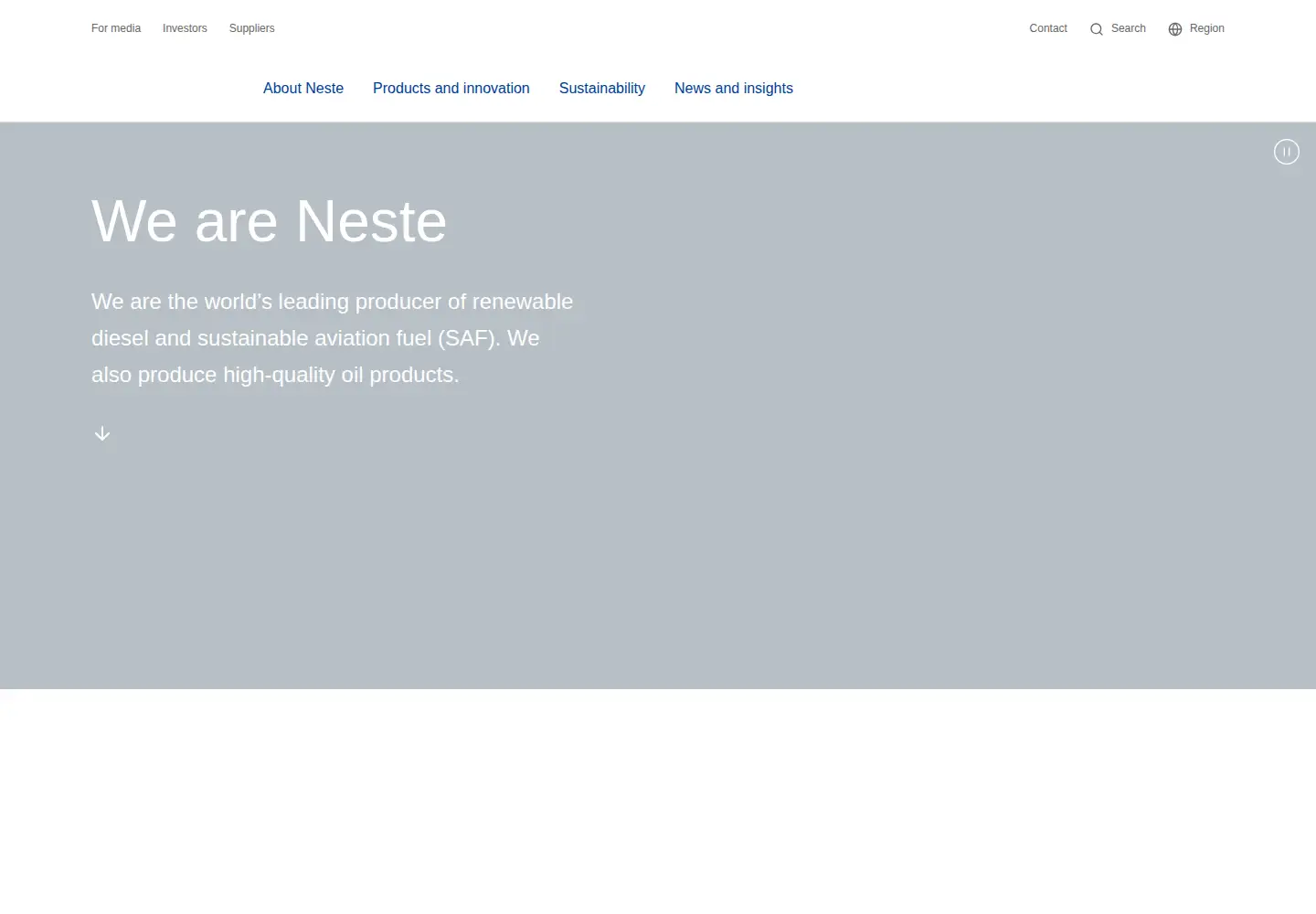 Screenshot of neste.com