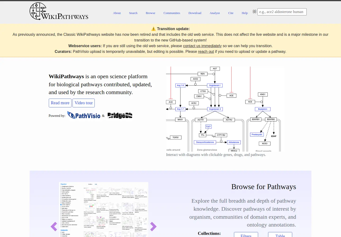 Captured homepage of wikipathways.org in the current scan