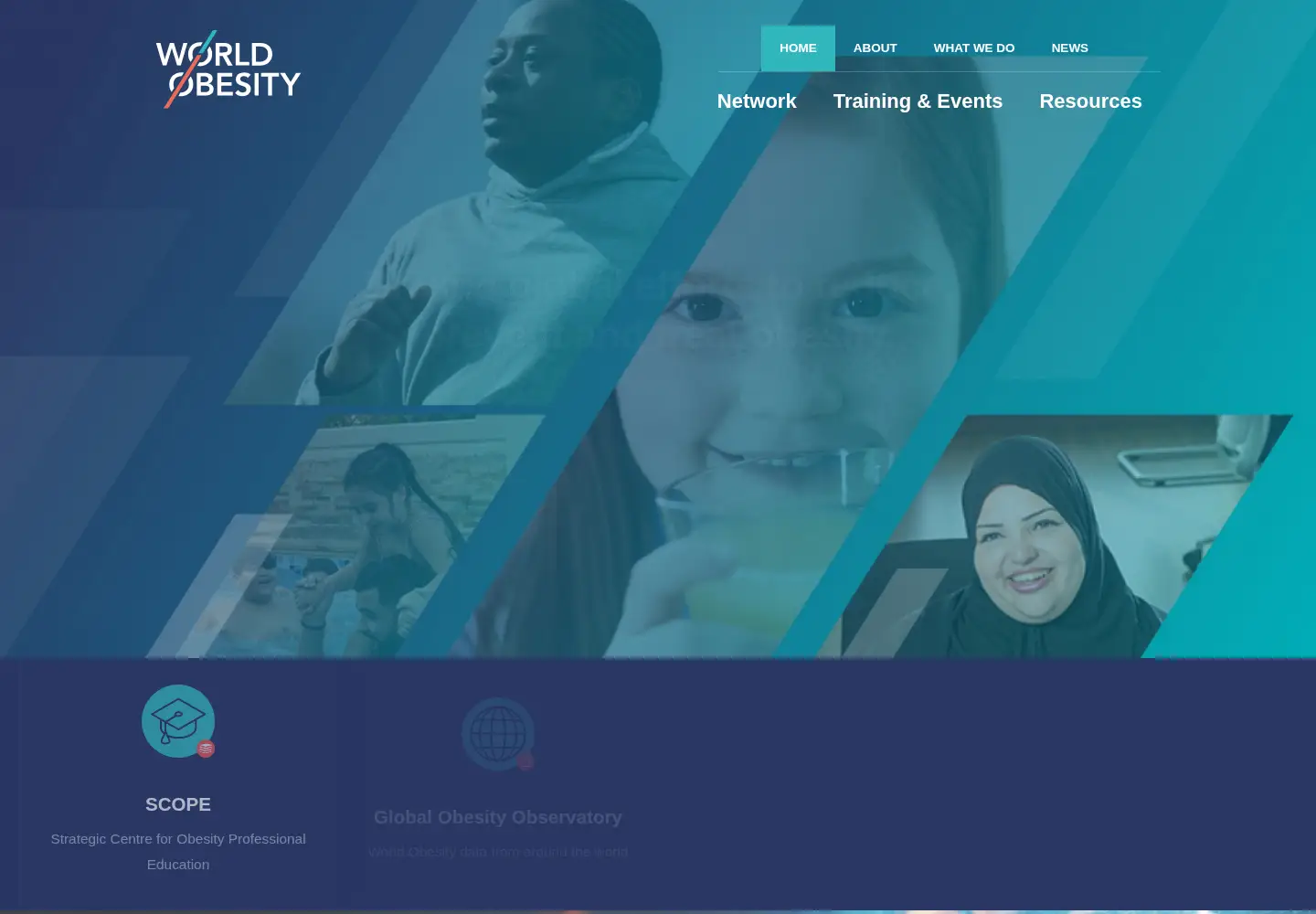 Screenshot of worldobesity.org