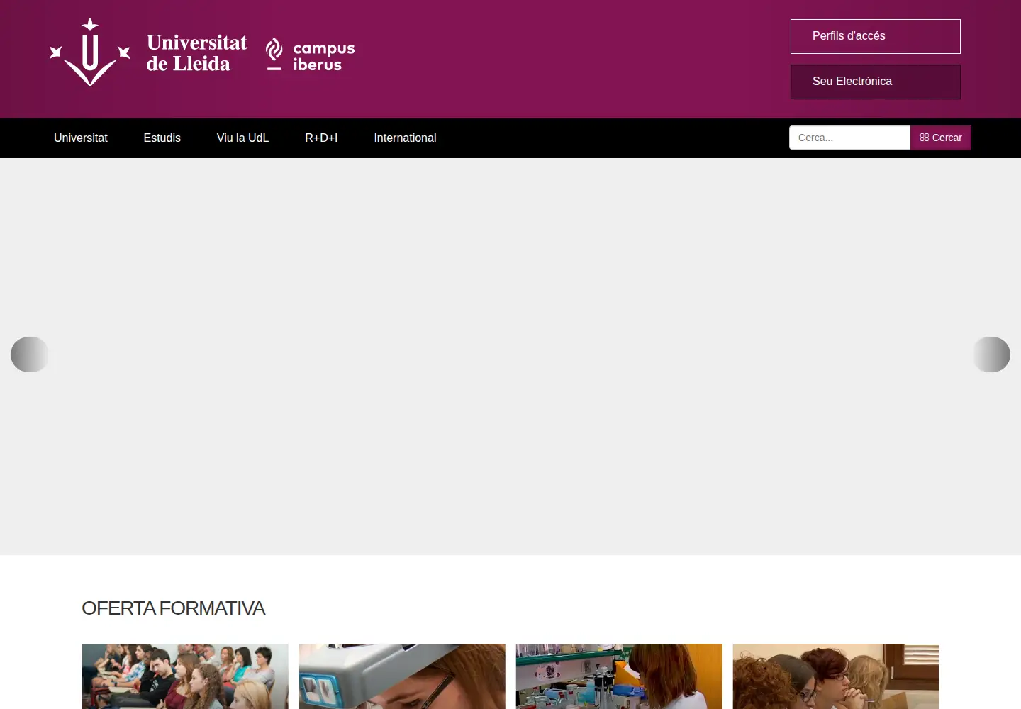 Screenshot of udl.cat
