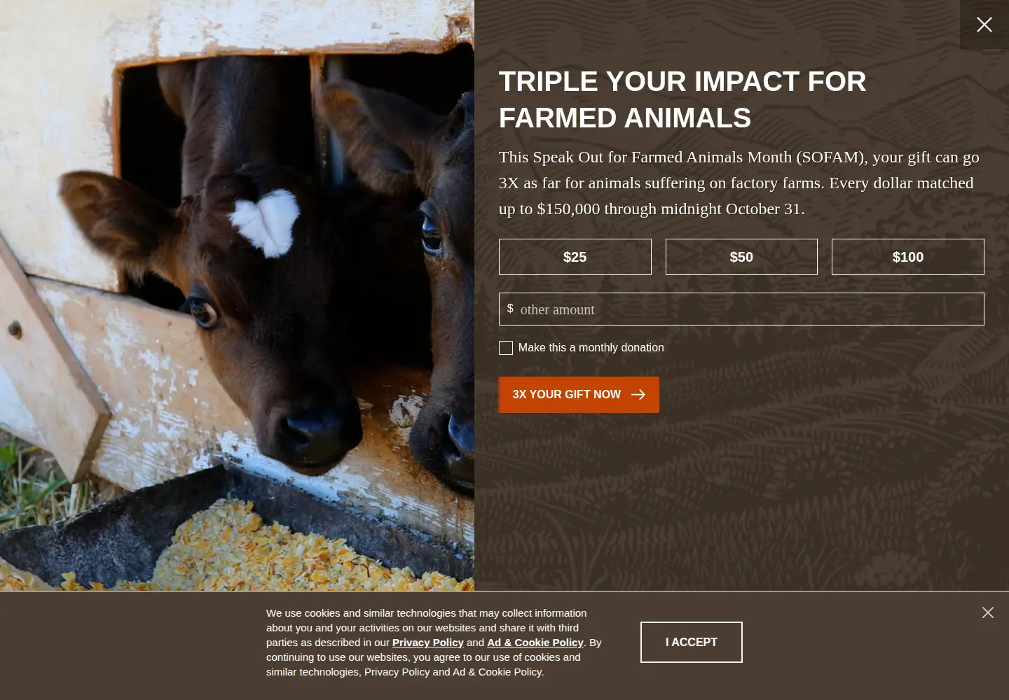 Screenshot of aldf.org