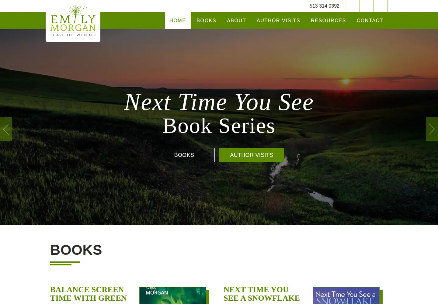 Screenshot of emilymorganbooks.com