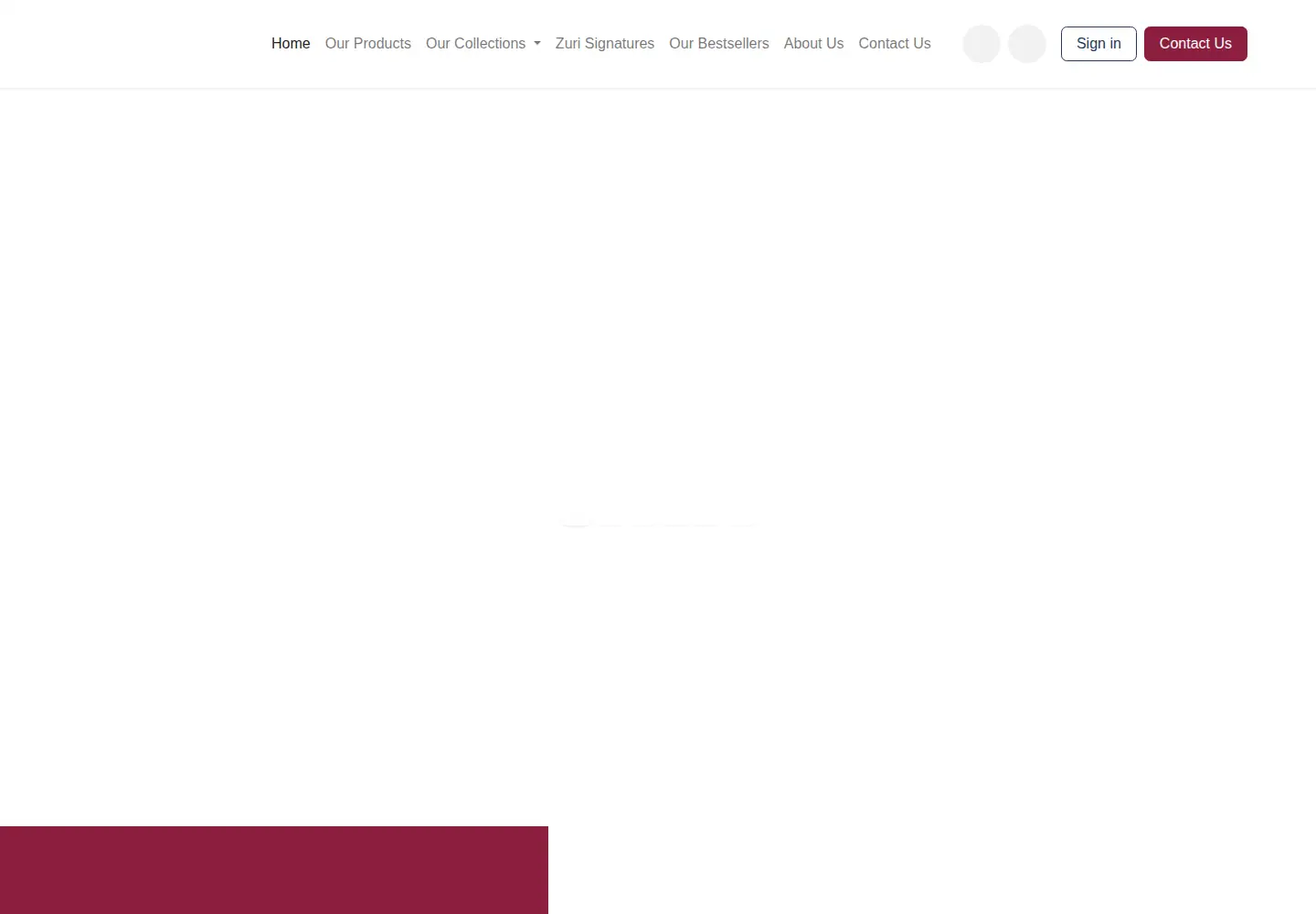 Screenshot of ethniczuri.com