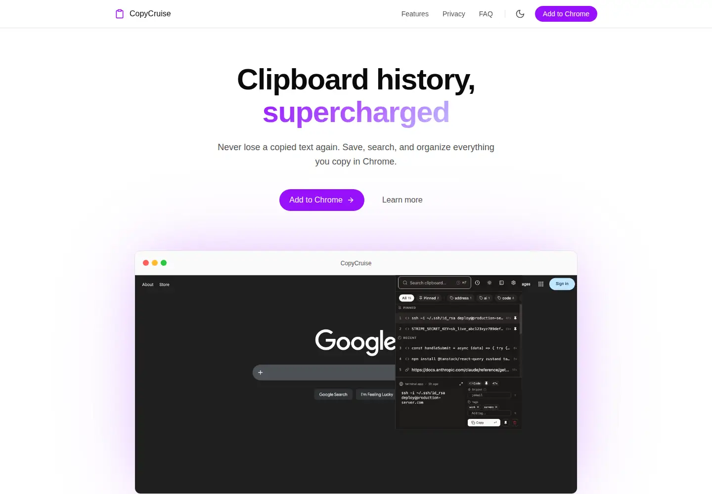 Screenshot of copycruise.com from the current report