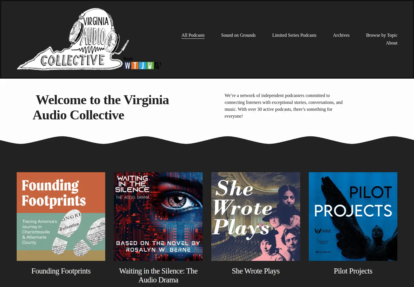 Screenshot of virginiaaudio.com