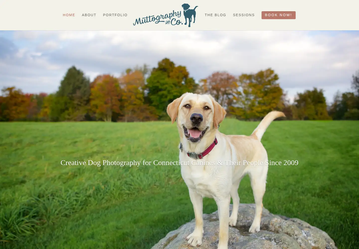 Screenshot of muttography.com