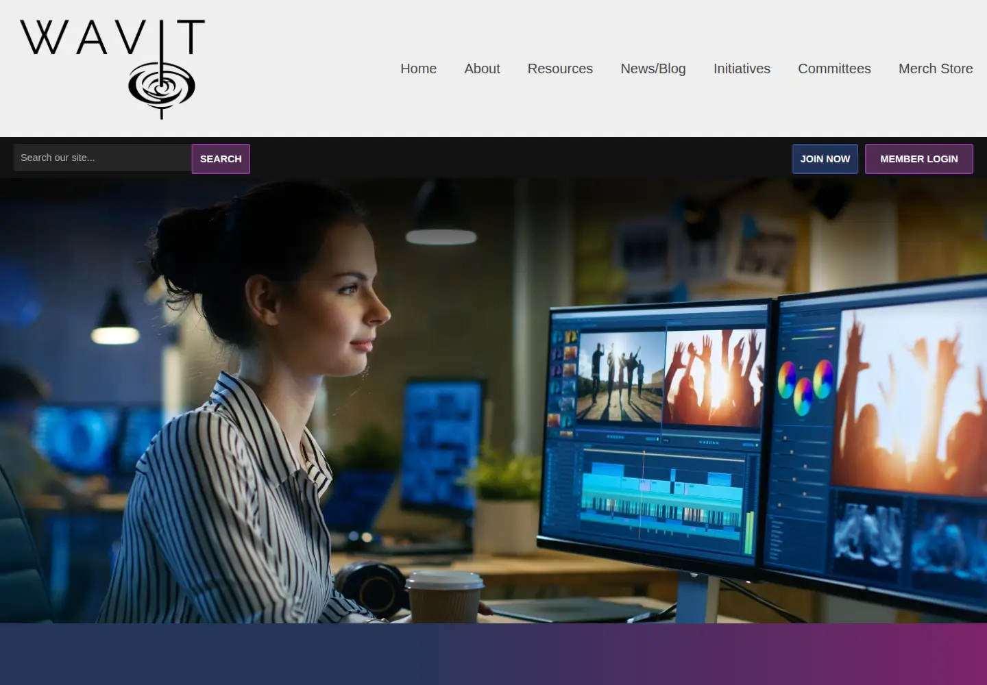 Screenshot of womeninavit.org