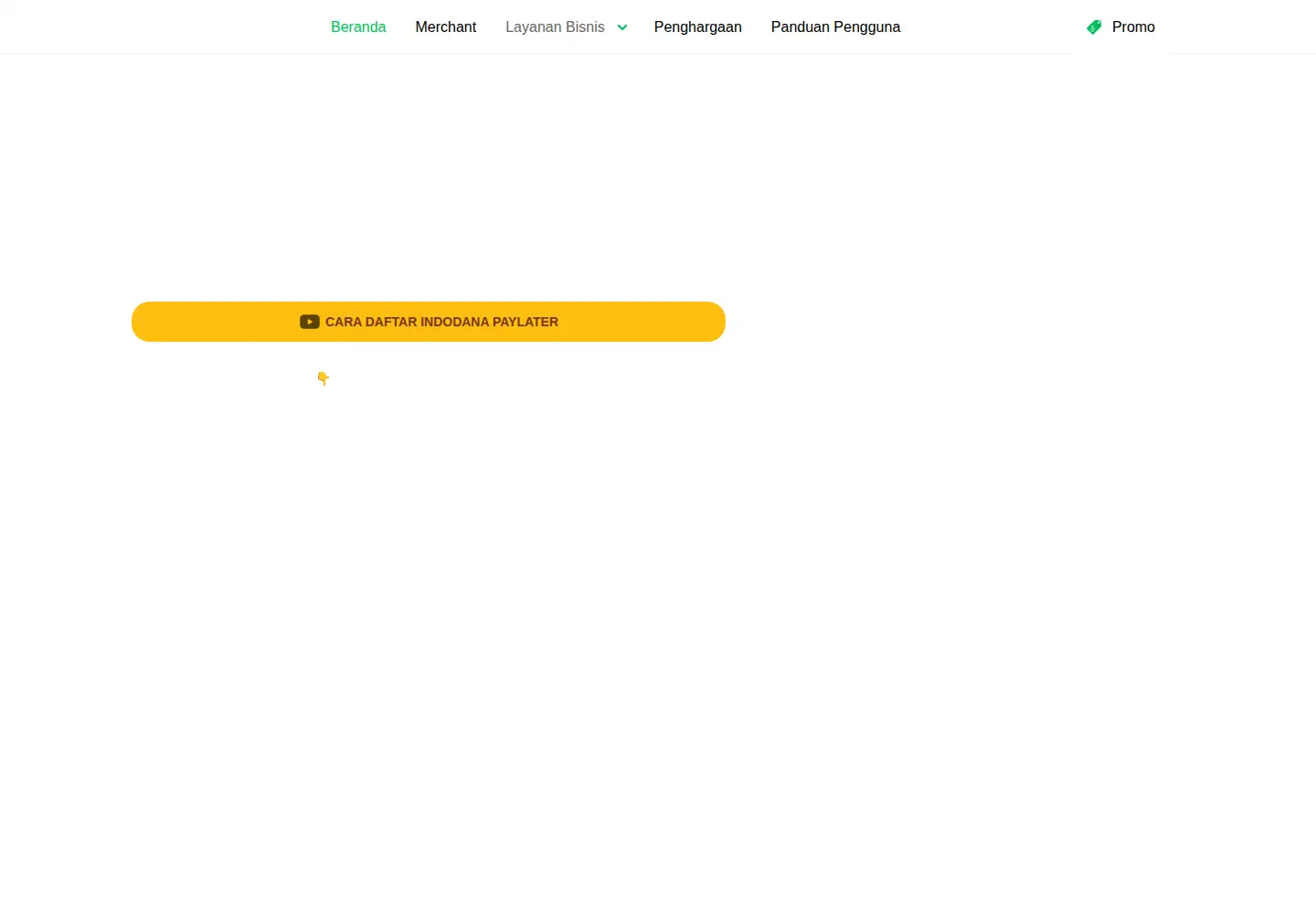 Captured homepage of indodana.id in the current scan